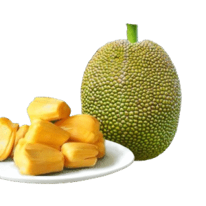 Vietnam Super Early Jackfruit