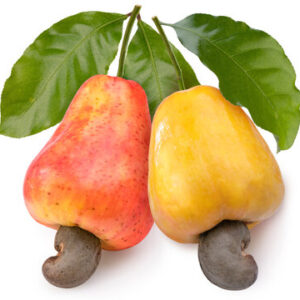 Cashew nut