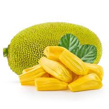 Gumless Jackfruit (Grafted)