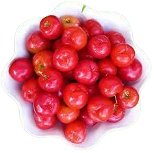 Sweet Loovi (Sweet Loquat)