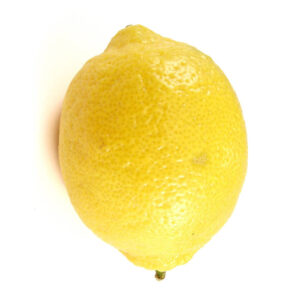 Vadukapuli Lemon (Giant Wild Lemon)